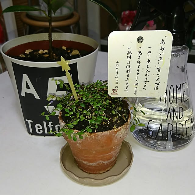 yuukyさんの実例写真
