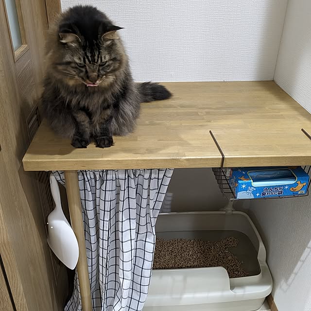 sayan_0321さんの実例写真