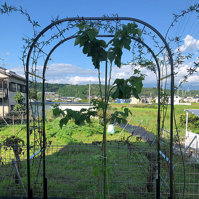 ayanyanさんの実例写真