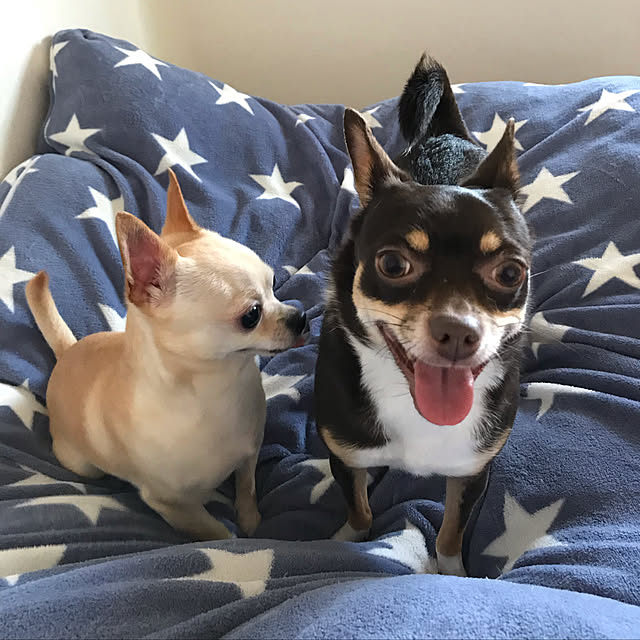 nacchintunnさんの実例写真