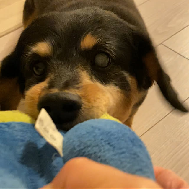 ohanaさんの実例写真
