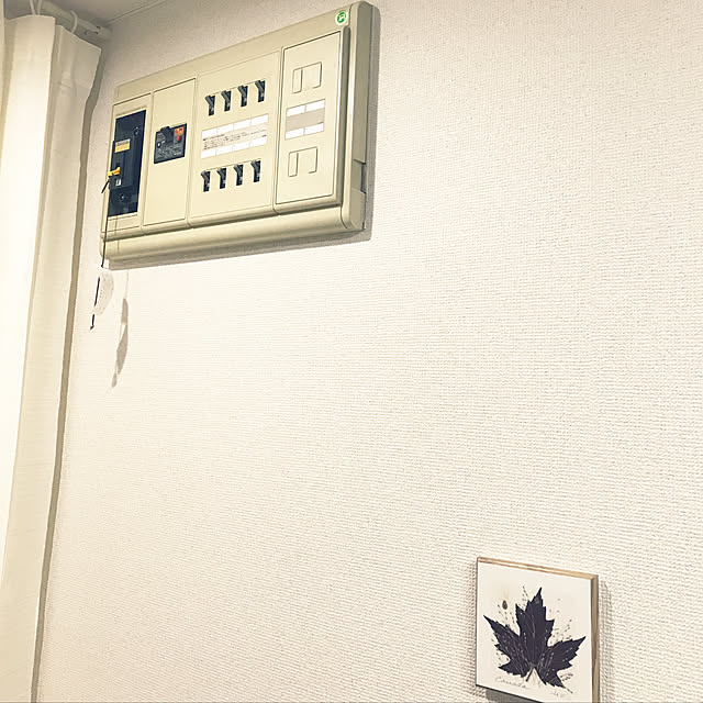 sakabe_shinさんの実例写真