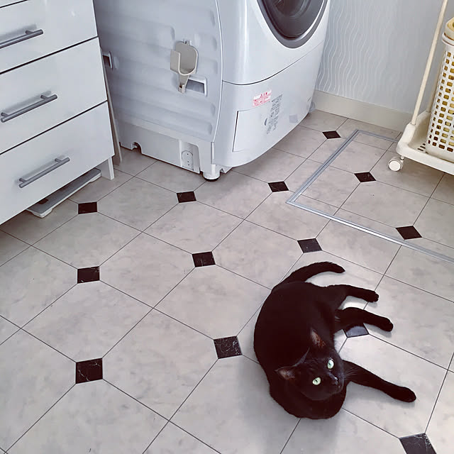 temariさんの実例写真