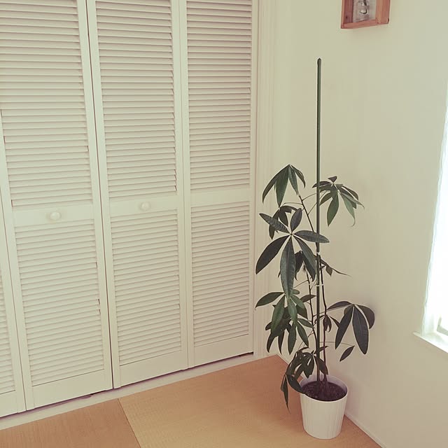 seiichiさんの実例写真