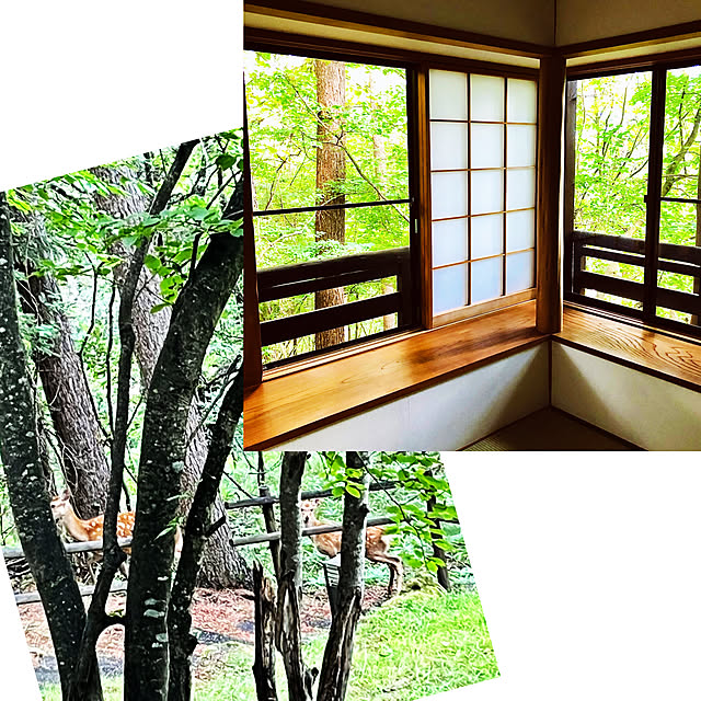 NAOさんの部屋