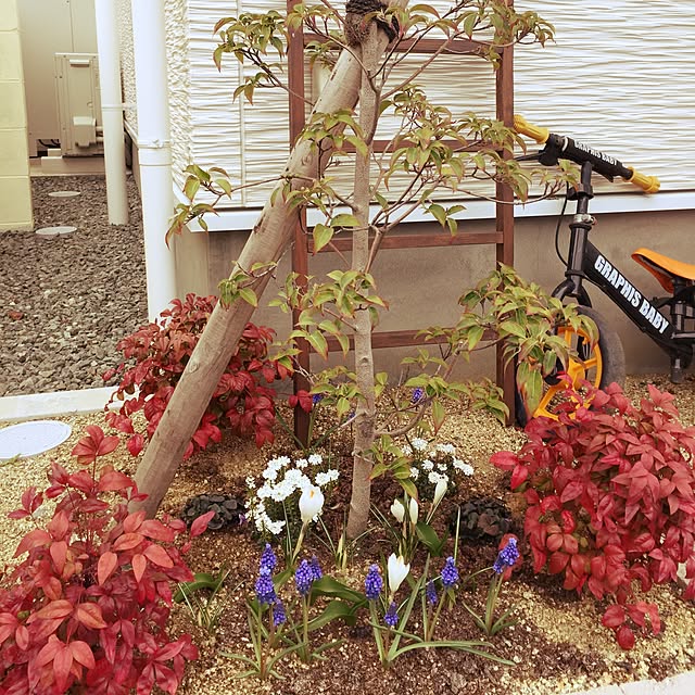 mamemamさんの実例写真