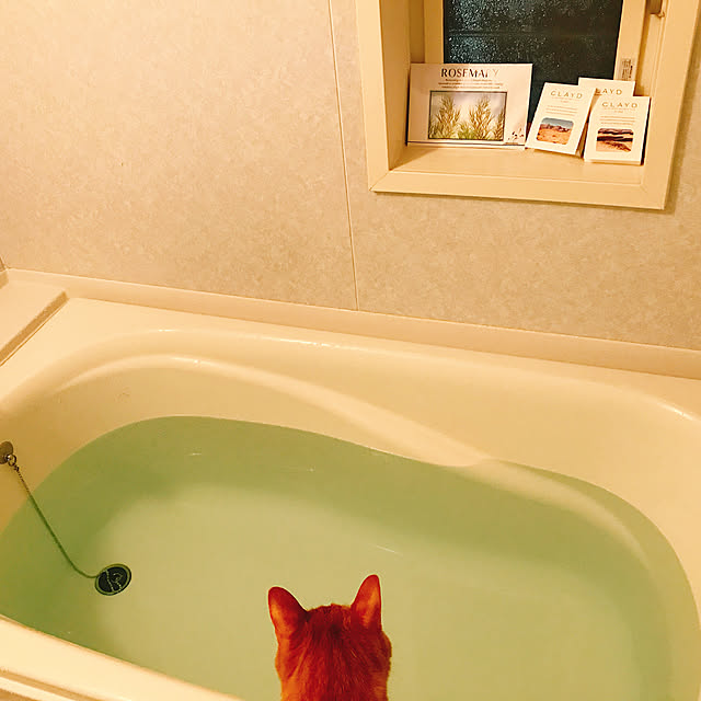 Tommyさんの実例写真