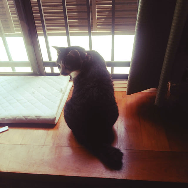 kiyohima229さんの実例写真
