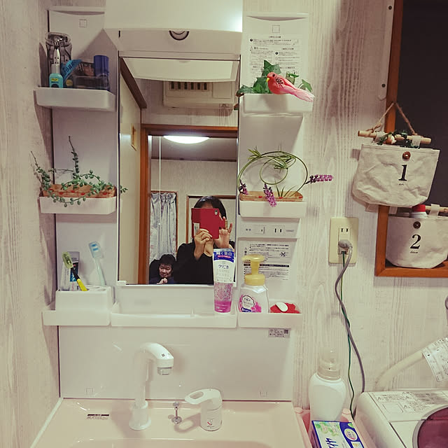 実例写真