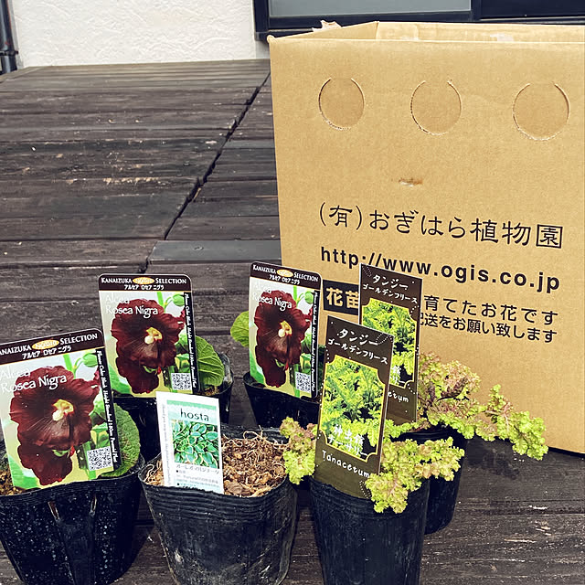 usako66さんの実例写真