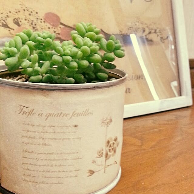 miruさんの実例写真