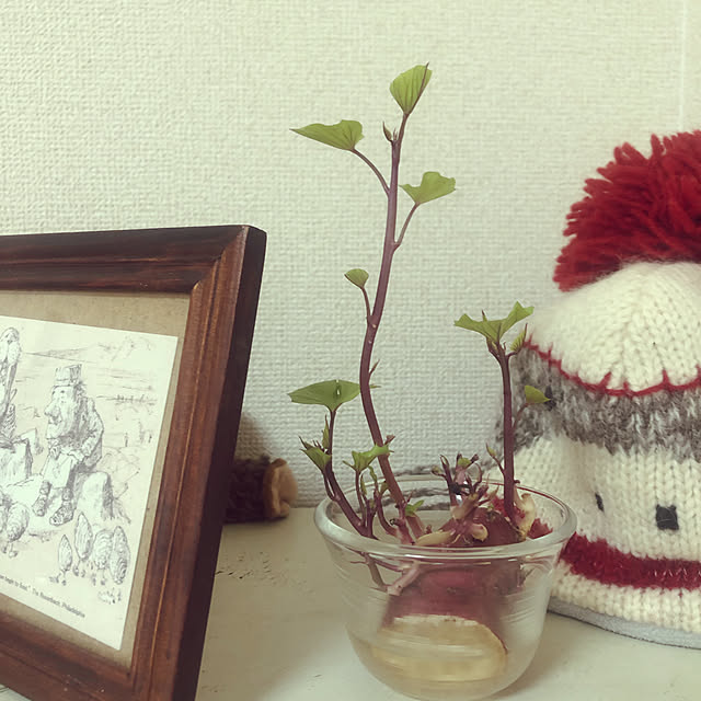 charさんの実例写真