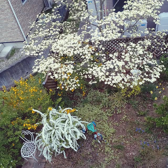 Hujikoさんの実例写真