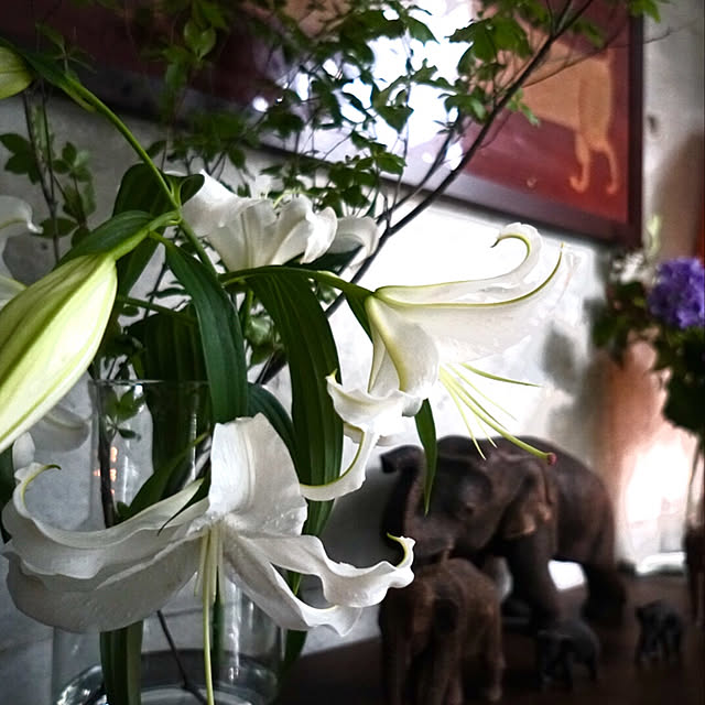 flowerさんの実例写真
