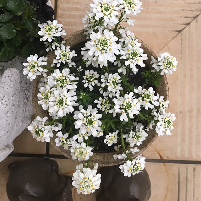 sanw2225719さんの実例写真