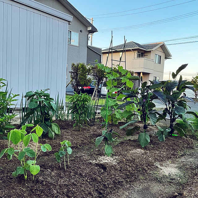 cannac.さんの部屋