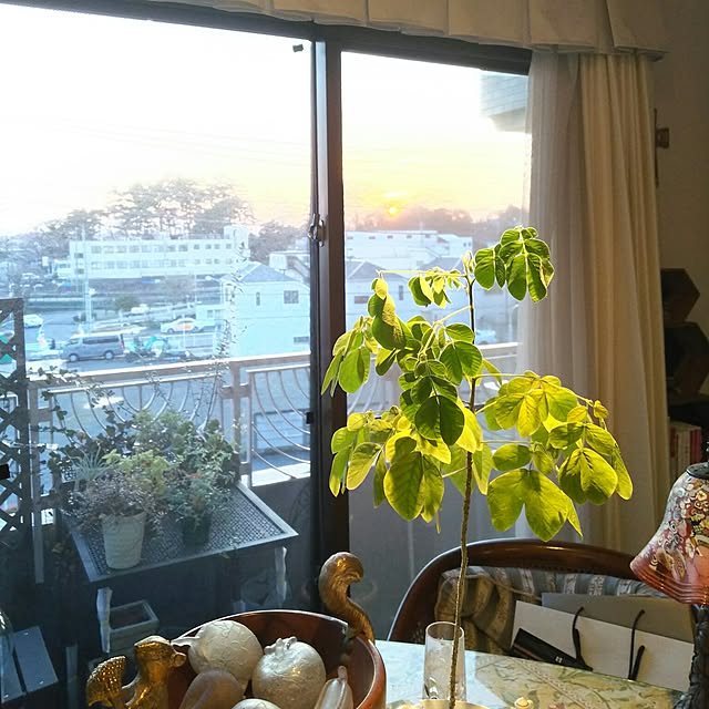 実例写真