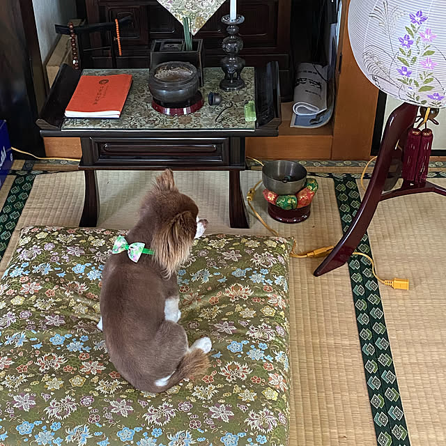 chIoeさんの実例写真