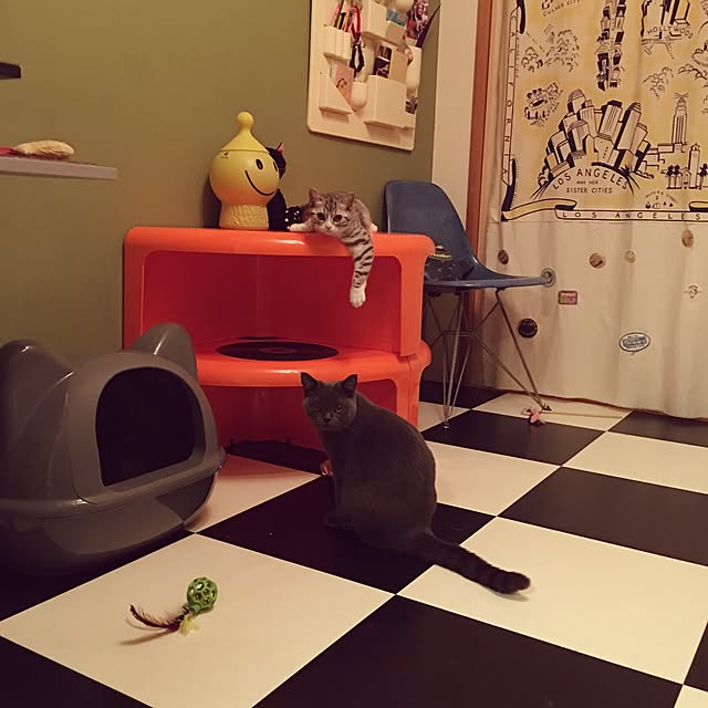 Shojiさんの実例写真