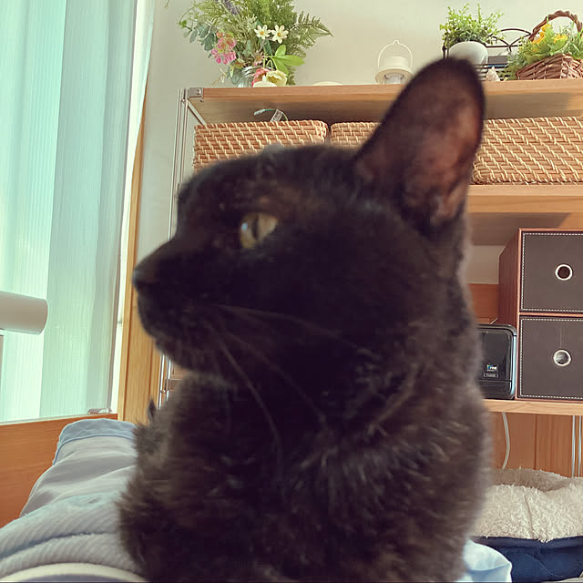 chakuron.iさんの実例写真