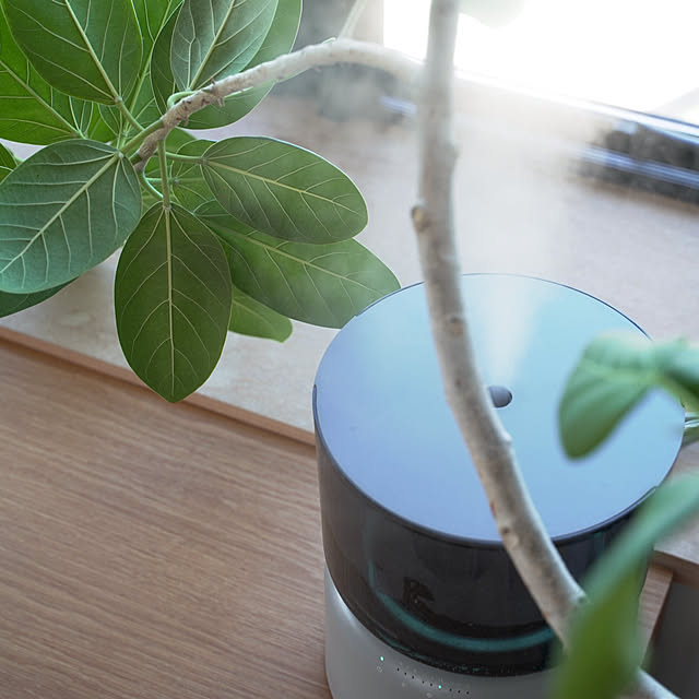 YUHeさんの部屋