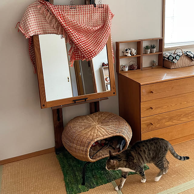 nobikoさんの部屋
