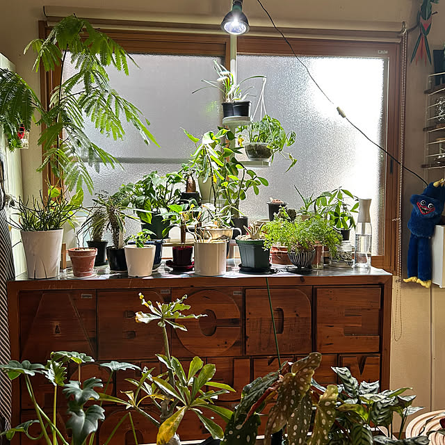 nene0183さんの実例写真