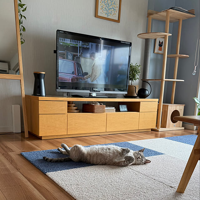 amさんの実例写真