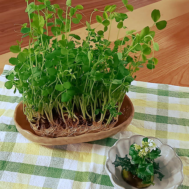 mikanさんの実例写真