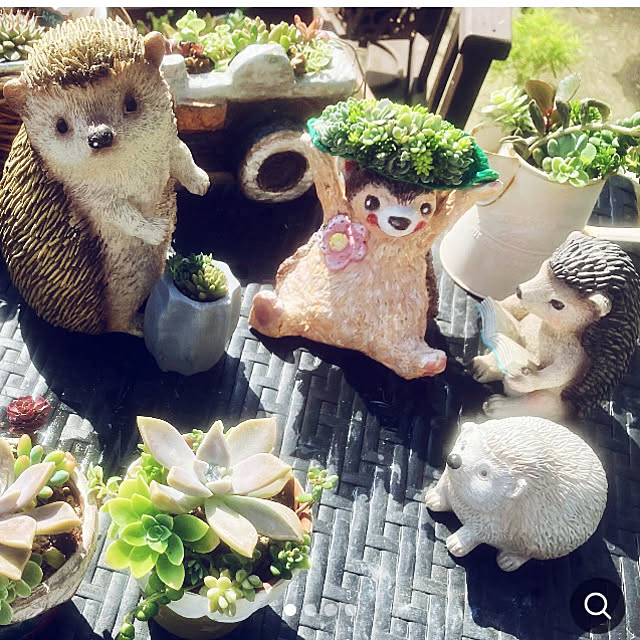 CoCo0617さんの実例写真