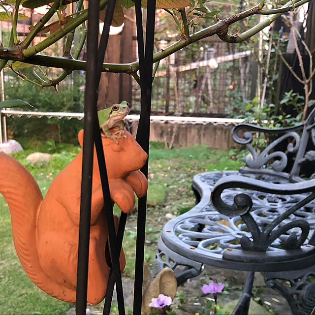 mikiteaさんの実例写真