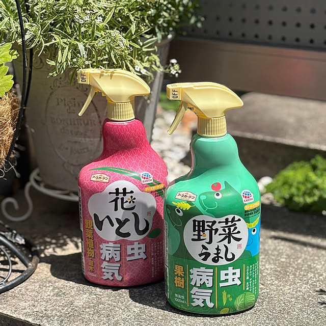 maayaさんの実例写真