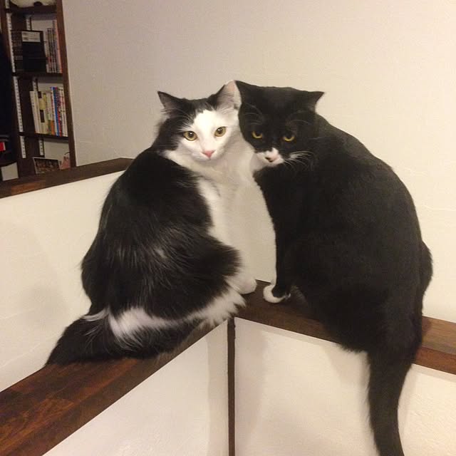 dmbgx726さんの実例写真