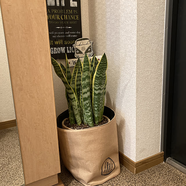 kappaさんの実例写真