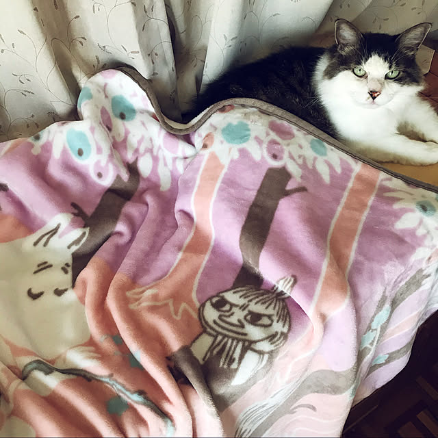 soraさんの実例写真