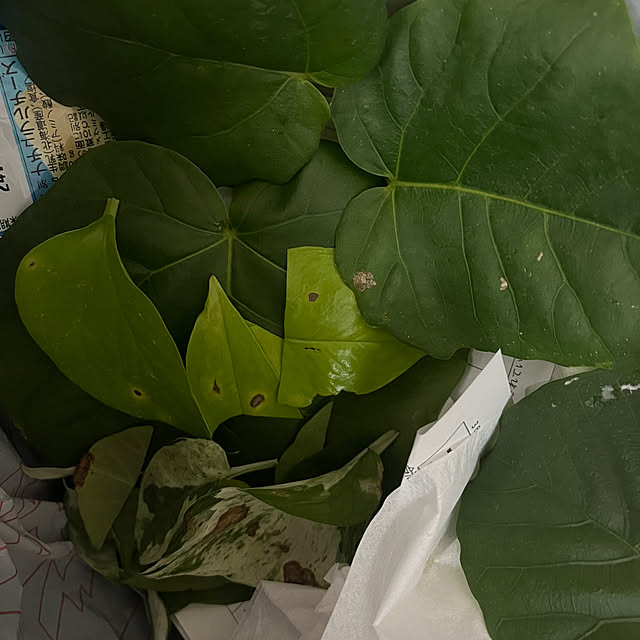 asさんの部屋