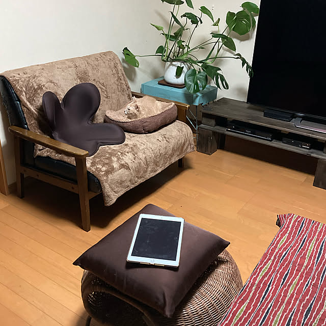 mikan161さんの実例写真