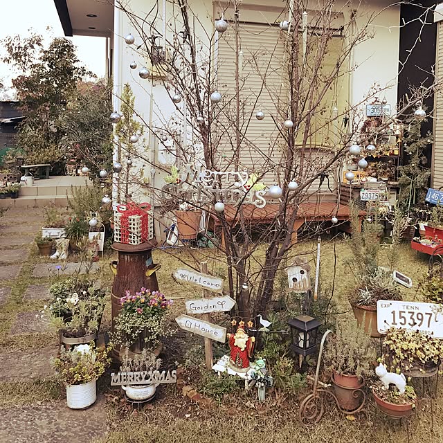 michi-michi39さんの実例写真