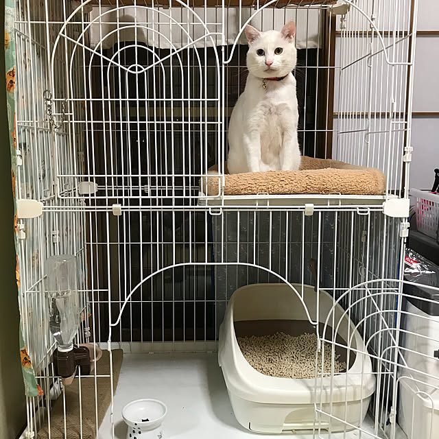 kana38さんの実例写真