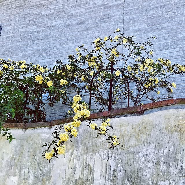 mocomocoさんの実例写真