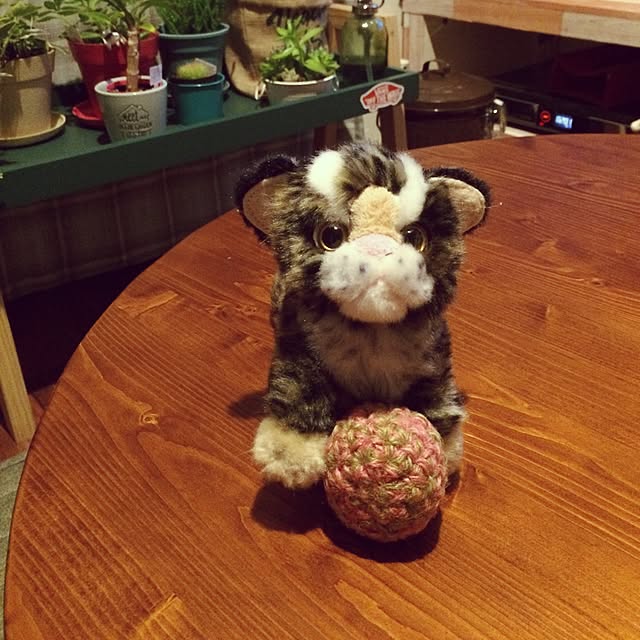 biscoさんの実例写真