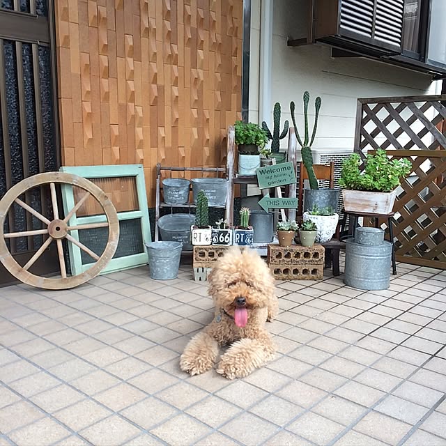 実例写真