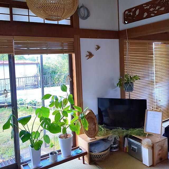 ainoさんの実例写真