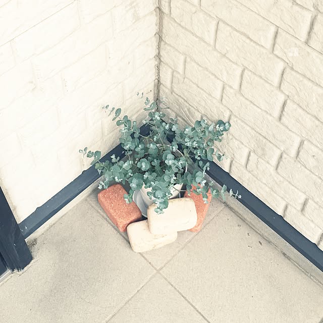 yoppyさんの実例写真