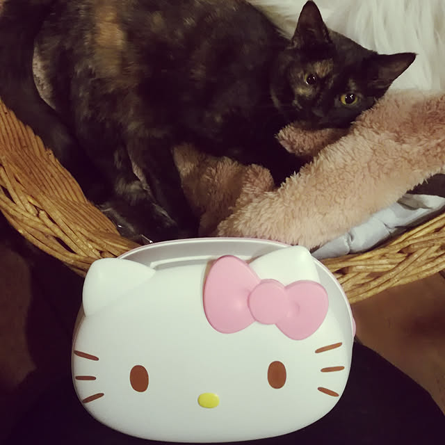 Maki-nekomamireさんの実例写真