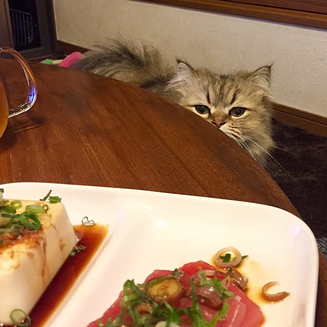 butachanさんの実例写真