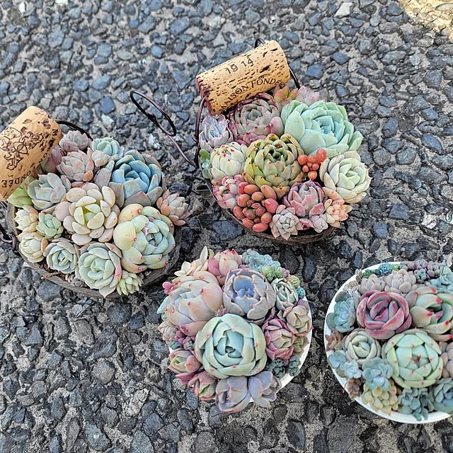 fuafuaさんの実例写真