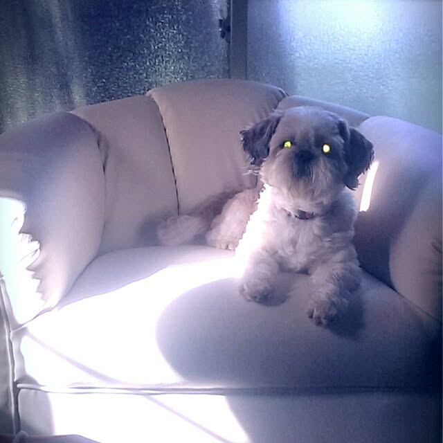 tibiさんの実例写真