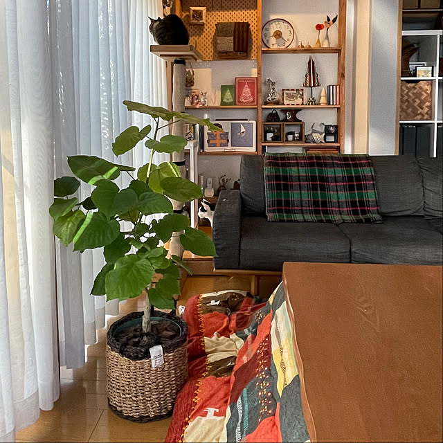 nobikoさんの部屋