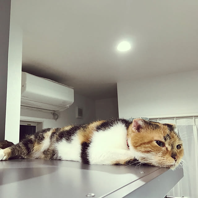 mamekinaさんの実例写真